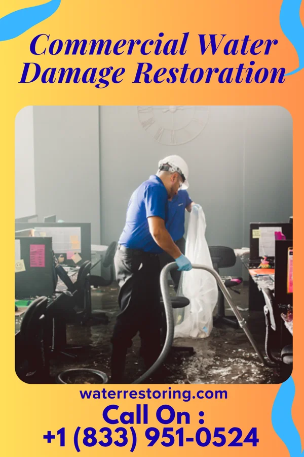Commercial Water Damage Restoration in Lake Land'Or, VA