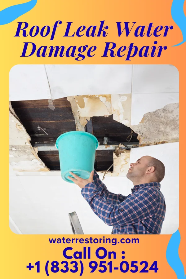 Roof Leak Water Damage Repair in Lake Land'Or, VA